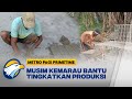 Pendapatan Perajin Batu Bata Merah Meningkat