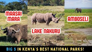 KENYA'S BEST National Reserves & Parks (BIG 5!!) - MAASAI MARA, LAKE NAKURU, AMBOSELI (June 2024)