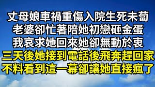 丈母娘車禍重傷入院生死未蔔，老婆卻忙著陪她初戀砸金蛋，我哀求她回來她卻無動於衷，三天後她接到電話後飛奔趕回家，不料看到這一幕卻讓她直接瘋了【清風與你】#深夜淺讀 #花開富貴#一口氣看完系列#小說