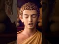 buddha quotes trendingshorts shortvideo shorts short viral viralvideo youtube funny support