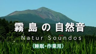 【睡眠・作業・勉強用】自然音の内容はタイムラインで確認（渓谷　森　田園　海など）霧島市