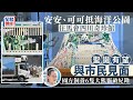 大熊貓抵港︱安安可可入住馬會四川奇珍館 龐建貽：照顧人手暫時足夠｜星島頭條新聞｜大熊貓｜安安｜可可｜海洋公園｜四川珍奇館｜熊貓經濟