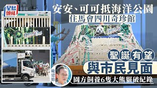 大熊貓抵港︱安安可可入住馬會四川奇珍館 龐建貽：照顧人手暫時足夠｜星島頭條新聞｜大熊貓｜安安｜可可｜海洋公園｜四川珍奇館｜熊貓經濟