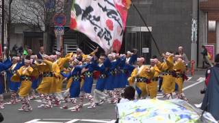 華連榛原−かれん−／北口演舞場／第17回よさこい東海道（2013）・本祭