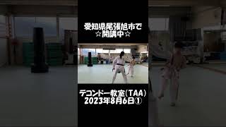 「テコンドー教室（TAA）」2023年8月6日①