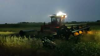 Swathing canola with the 6000 case!