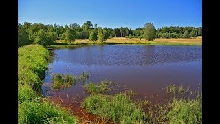 Schwäbische Ostalb: Bartholomä Tour 2 (Volkmarsberg)