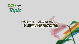 勢和小学校「人権の花」運動6年生が花苗の定植【『ほっと-iたき』022-014】