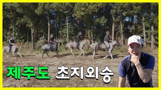 말도 살찌는 가을 | 제주도 초지외승