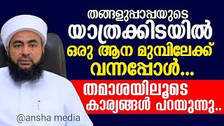 തങ്ങളുപ്പാപ്പയുടെ യാത്രക്കിടയിൽ ഒരു ആന മുമ്പിലേക്ക് വന്നപ്പോൾ തമാശയുടെ കാര്യങ്ങൾ പറയുന്നു |muthanoor