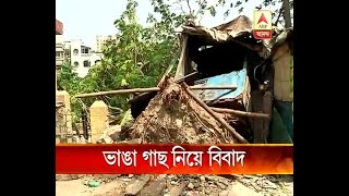 TMC's allegation against CPM Councillor over  uprooted tree