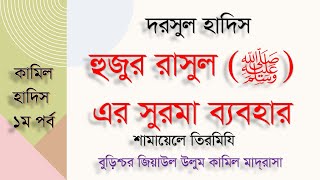 দরসুল হাদিস, শামায়েলে তিরমিযি, হুজুর রাসূল দঃ এর পোশাক-পরিচ্ছদ