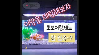 초보를 위한 처음부터 끝까지 어항세팅방법