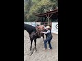 como subirse a un caballo 🐴🇲🇽 vaqueros