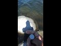 😲throwing 💵us$1 000 000 coin into the deepest ocean😲. subscribe please.