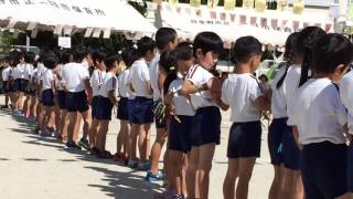 2015年10月 運動会（年長）#6