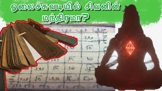 தமிழர்கள் ஓலைச்சுவடியை பயன்படுத்தியது ஏன்?ஓலைச்சுவடி பற்றி அரிய தகவல்| Tamil script | plam leaf