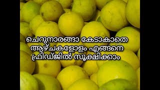 How to store lemon/lime ചെറുനാരങ്ങ കേടാകാതെ ആഴ്ചകളോളം ഫ്രിഡ്ജിൽ സൂക്ഷിക്കാം