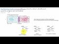 double immuno diffusion