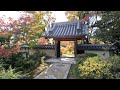 【紅葉】大門寺・三色彩道　紅葉狩り