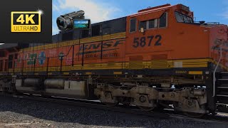 [4K] BNSF 25th Anniversary Units!