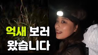 [백패킹 vlog] 억새보러 왔습니다[야간산행|백패커|초보백패커|등산|억새밭|등산브이로그|여행브이로그|가을산행|충청남도 산|커플브이로그|수도권 백패킹|캠핑|캠핑장|오서산|백년밥상]