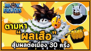 60 ชั่วโมง เพื่อผลเสือ! | Bloxfruit กับลูกชาย EP59