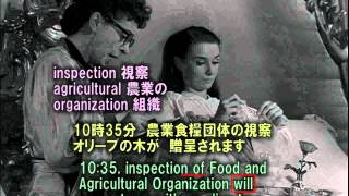 名作映画で独学日常英会話　「ローマの休日」02　素顔の王女　音読練習用　英和対訳ストップ動画　中高年に最適　Japanese-English translation