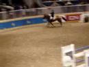 cn international showjumping by the defending champion