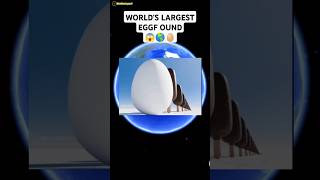 😱I found world's largest chicken egg🥚 on google map and google earth🌎#shorts #trending #viral #earth