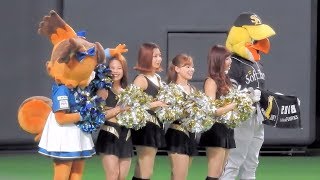 ＜2018.4.21ソフトバンク戦＞遠路はるばる駆け付けた「もういっちょ!」なハニーズさんのご紹介