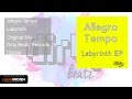 Allegro Tempo - Labyrinth (Original Mix)