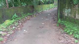 12.5 cents  house plot Angamaly Town price 7.5 lakh cent nego...www.ownfirstrealtors.com 9605052844,