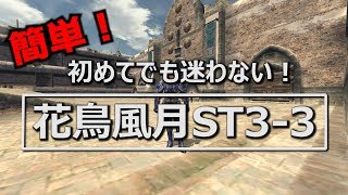 【FF11】迷わない！花鳥風月ST3-3の進め方！【花鳥風月】