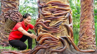 Harvesting Extremely Poisonous Spiral Wing Parasite in The Deep Forest | Survival Skills