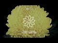 Nihil Young - Sweet Dreams