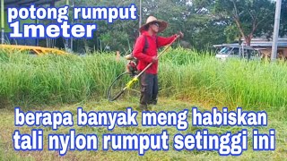 berapa banyak MENGHABIS KAN tali mesin rumput sekali pakai