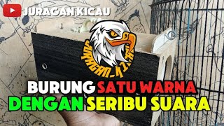 JANGAN LIHAT DARI WARNA ,TAPI VARIASI BUNYINYA.