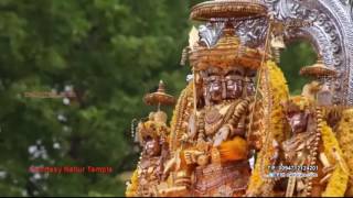 Nallurai Naal Thorum - Nallur Kandaswamy Temple