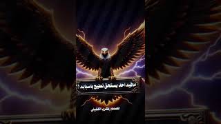 المصمم زكريا القفيلي جديد من شاف نفسه علينا مادرينا به #الشعب #جديد