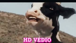 Kung Pow: Enter the Fist (2/4) Movie CLIP - Cow Fight (2023) HD -  man vs cow Fight #shortvideo #fun