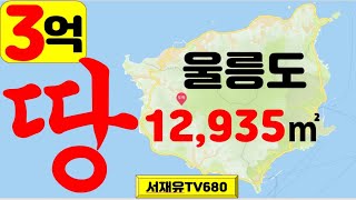 3억 땅 울릉도 12,935m2 월드부동산 서재유TV680