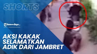 Video Detik-detik Aksi Heroik Kakak Nyaris Hajar Pria yang Jambret Ponsel Adiknya, Bawa Batu Besar