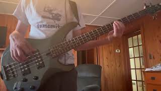 Colour - Shamu (Bass Cover)