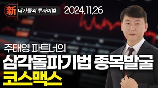 LIG넥스원 STX그린로지스 흥아해운 SK하이닉스 에코프로비엠 우리바이오 랩지노믹스 삼성중공업 HD현대중공업 코스맥스 | 新대가들의투자비법 주태영 (20241126)