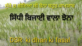 ਸੁੱਕੇ ਚ ਬੀਜਿਆ ਸੀ ਝੋਨਾ ਬਹੁਤ ਕਾਮਯਾਬ@manderbai2108#vlog #farmer #dsr #paddy #rice #punjabivlog#farming