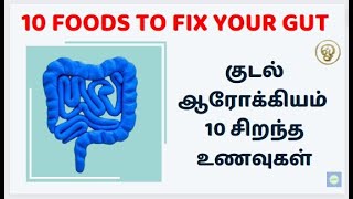 10 FOODS TO FIX YOUR GUT | உங்கள் குடலை சரிசெய்ய 10 உணவுகள் | 10 foods for gut in TAMIL -Eps