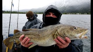 NORWEGIA dzień 2 [Fjord fishing] WIELKI DORSZ TATY