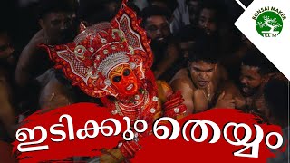 തെയ്യം| THEYYAM|നീലേശ്വരം പള്ളിക്കര പലേരെകീഴിൽ ശ്രീ വിഷ്ണു മൂർത്തി ക്ഷേത്ര കളിയാട്ട മഹോത്സവം