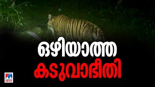 അമരക്കുനിയില്‍ വീണ്ടും കടുവയാക്രമണം; ഒരാഴ്ചയ്ക്കിടെ പിടിക്കുന്നത് അഞ്ചാമത്തെ ആടിനെ